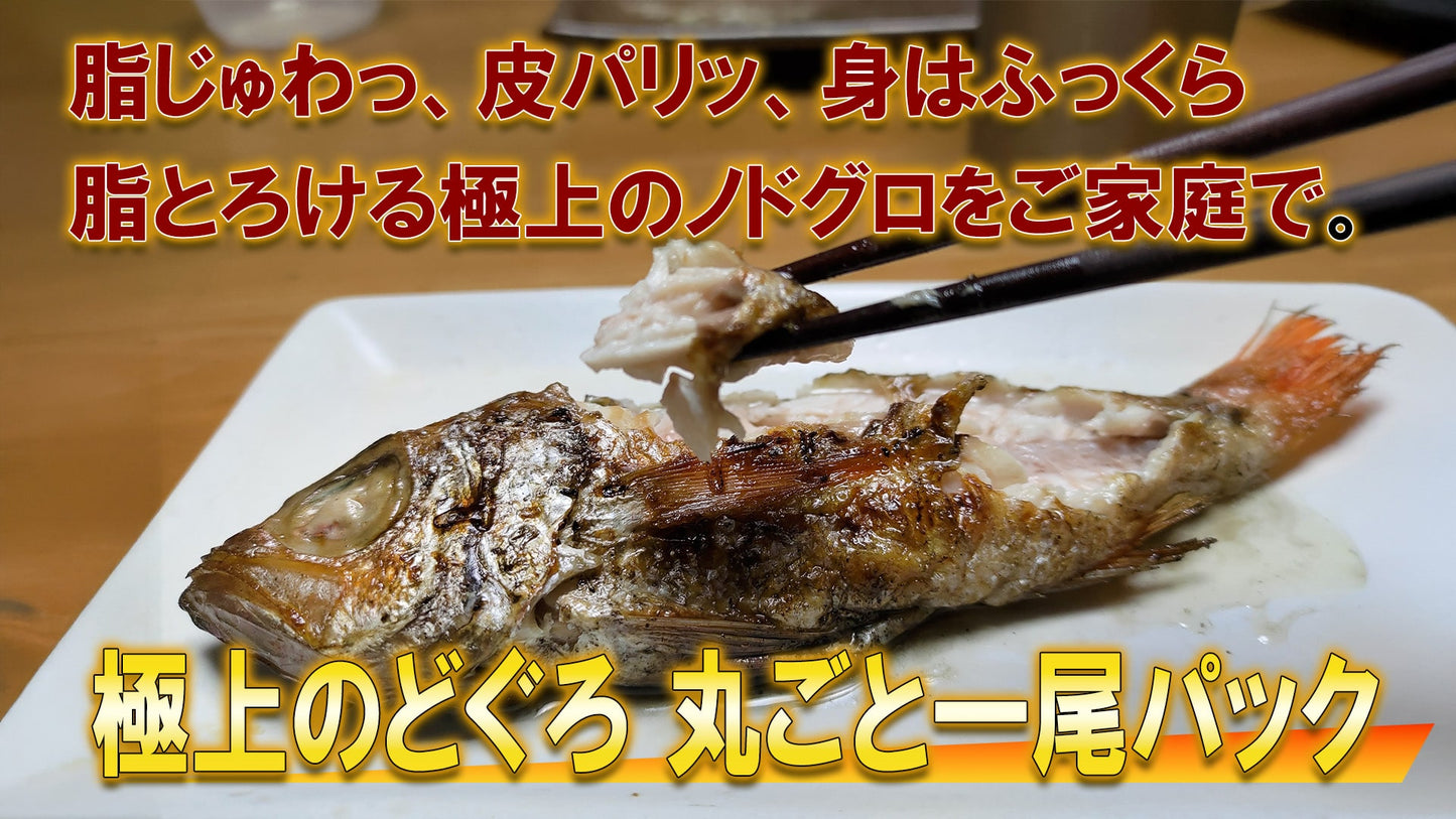 極上のどぐろ 丸ごと一尾パック(下処理済/焼くだけ)