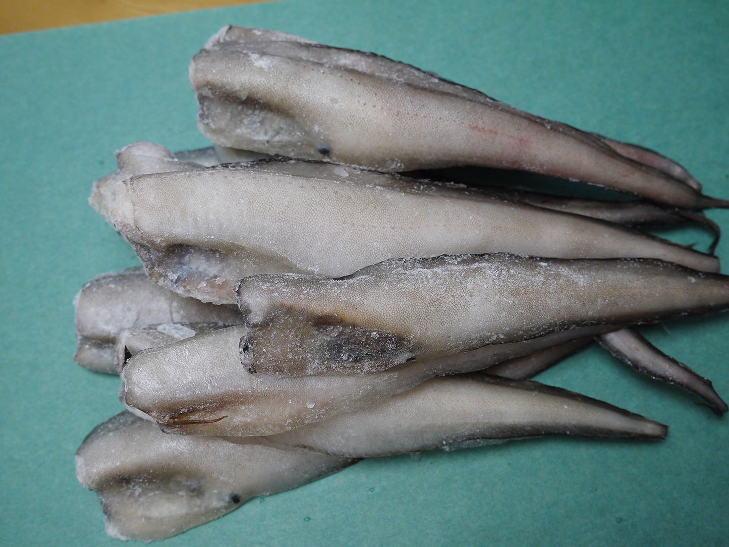 日本海の美味しい深海魚・げんげ(幻魚) <冷凍>~コラーゲン質に包まれた日本海の絶品食材~