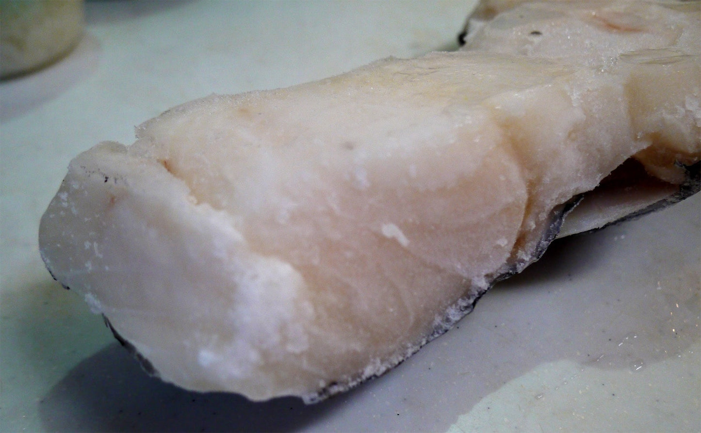脂ギットギトの貴重な食材・メロカマ　～煮ても焼いても美味しい白身魚～