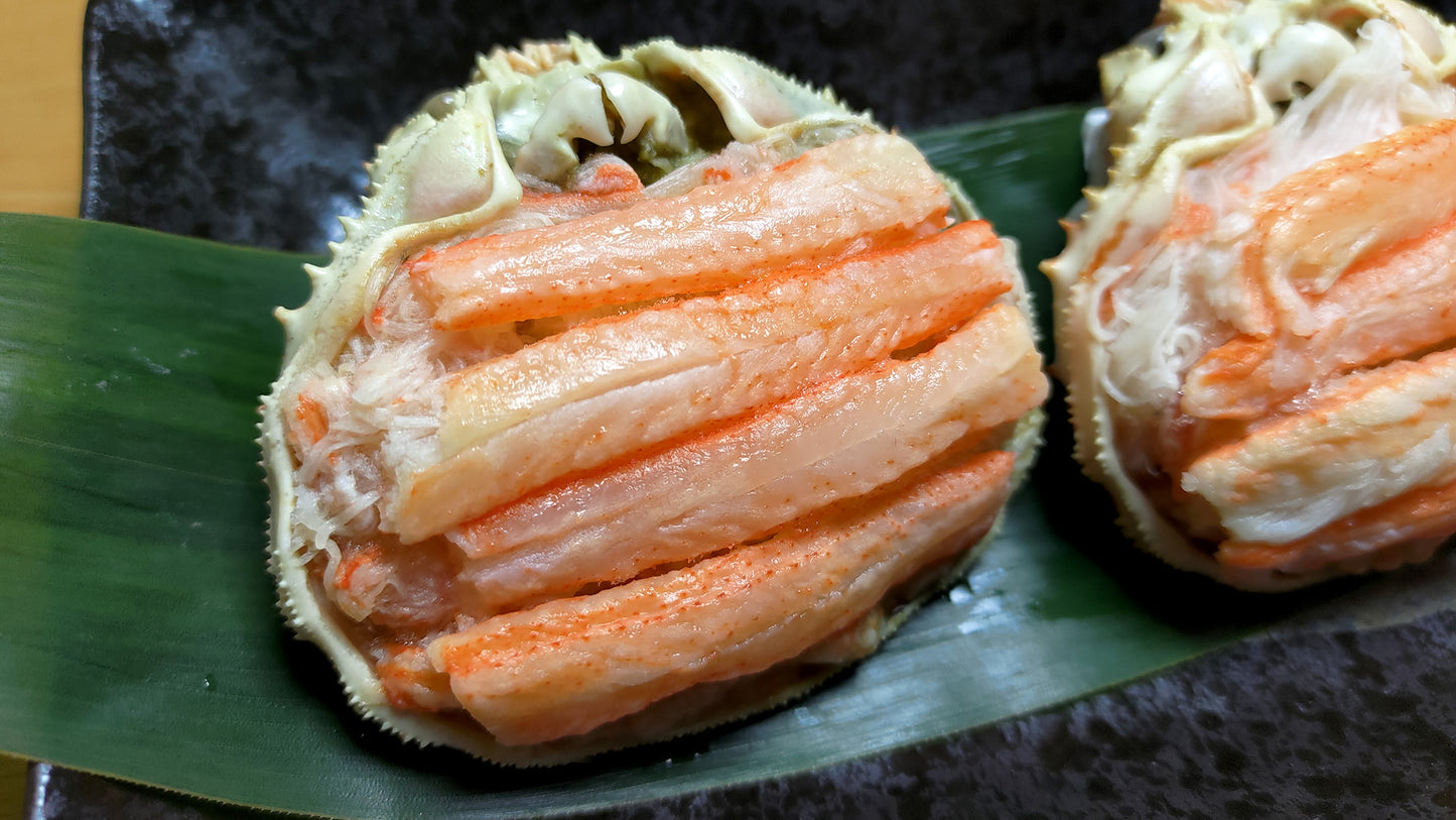 噴火湾産本ズワイガニ甲羅盛